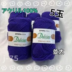 j-75 横田　ダルシャン並太　アクリル毛糸 紫 5玉セット