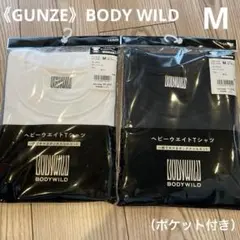 Item thumbnail for item 198a010a-1510-483c-a929-9283f8ed015e