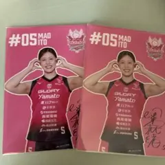 Item thumbnail for item c5856338-99ab-41eb-8968-970f3125912c