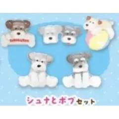 アミュキャラ ぷっくりんちょシール シュナとボブ ガチャ カプセルトイ