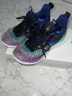 Item thumbnail for item 58ed40af-5640-46ea-8305-e9cdd47c8556