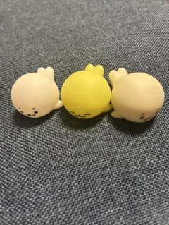 アザラシの腕の骨セット - メルカリ