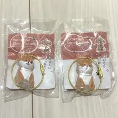 WANKONO Time Capsule まめ 犬 柴犬 2個セット