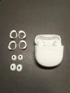 BOSE QuietComfort earbuds Ⅱのサムネイル