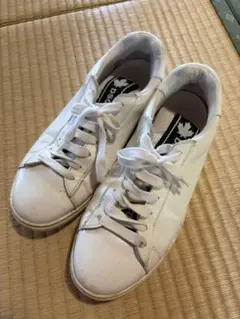 DSQUARED2 SPIKERローカットスニーカー 39 2026年最新 dsq スニーカー