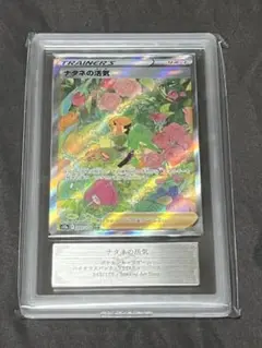 ポケカ ナタネの活気 psa10 ARS10 vstarユニバース