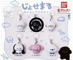 じょせまるめじるしアクセサリー