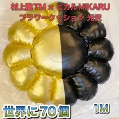 2025年最新】カイカイキキ クッション 1mの人気アイテム - メルカリ