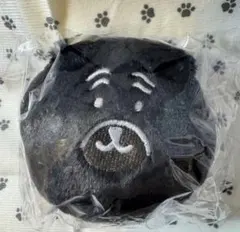 ナガノキャラクターズ ブラックだらけぬいぐるみくじ E賞 パグ