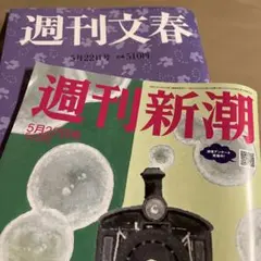 Item thumbnail for item 35a3657a-fcbe-423f-8d8b-1b11d7a3d739