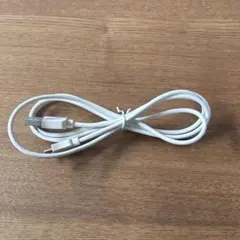 Item thumbnail for item 477c3685-43e0-4694-b136-dde71dd92c4f