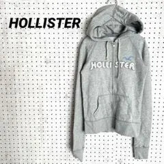 ホリスター ジップパーカー ロゴ刺繍 裏起毛 グレー（S）カリフォルニア発