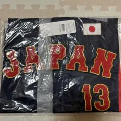 宮城大弥　侍ジャパン　Mizuno 日本代表 ユニフォーム 13 Lサイズ