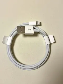純正ホワイト Lightningケーブル