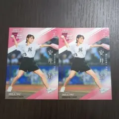 始球式カード 安井南 まとめ売り
