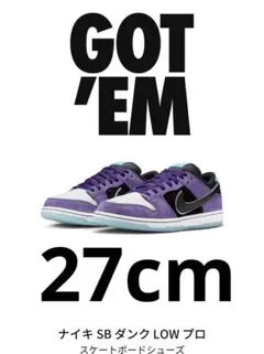 Hayley Wilson × Nike SB Dunk Low Pro