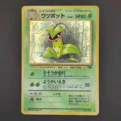 旧裏 ウツボット LV.42 ☆ ホロ ジャングル ポケカ ポケモンカード
