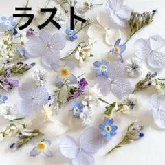 ラスト！パステルカラーのドライフラワー詰め合わせ