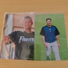 ホームランソーセージ ヒット賞ブロマイド 中田翔 杉谷拳士