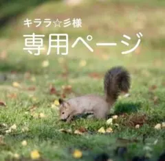 【専用ページ】ショルダーストラップとハンドストラップ2点