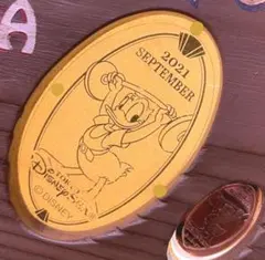 スーベニアメダル　2021年　9月　マンスリー　ディズニーシー
