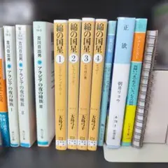 綿の国星　大島弓子　第1巻から 第4巻 セット