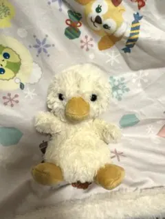 Jellycat ジェリーキャット アミューザブル・コーラル サンゴ