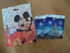 フロリダ　ディズニーワールド　ショップ袋　19枚　【未使用】
