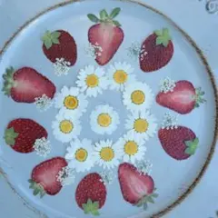 chibesuna様 リクエスト 2点 まとめ商品