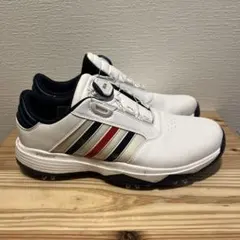 Item thumbnail for item e951c517-512f-46b5-8dc5-d4908faa2cc9