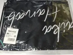 Item thumbnail for item 55f1bf20-261a-4631-94ef-52dcf93c2d92