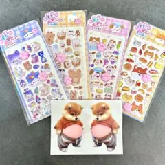 【お得】肉球シール4枚、柴犬おなかシール2匹セット｜ぷにぷに　もちもち