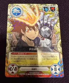 家庭教師ヒットマン　リボーン CCG 沢田綱吉　No.028/01 R