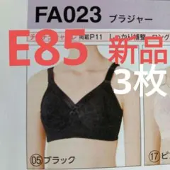 シャルレ ロングセラーブラジャー E85 2枚入★ ショコラ FA023 新品★ しっかり補整・ロングセラーブラジャー ＜Cシリーズ＞ FA023