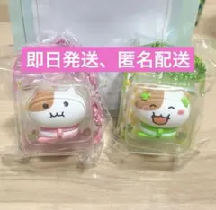 もちにゃみ パッケージmini フィギュア カプセルトイ マスコット