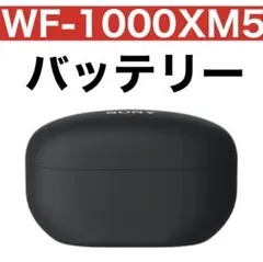 ジャンク品 ☆SONY WF-1000XM5ワイヤレスイヤホン 片耳 充電ケース