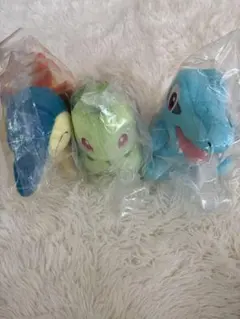 ポケモン一番くじ30周年Ｃ賞フシギダネＤ賞ヒノアラシ　ワニノコSETチャーム付 ポケモン一番くじ30周年C賞フシギダネD賞ヒノアラシ ワニノコSET