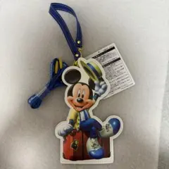 ディズニー　バケーションパッケージ　非売品　パスケース