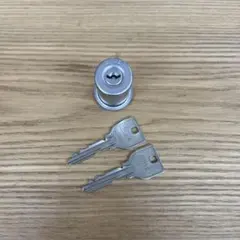 Item thumbnail for item a1bf0383-4004-4ecf-92d4-fc576ca52d64