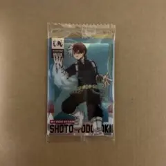 僕のヒーローアカデミア ウエハース カード 轟焦凍
