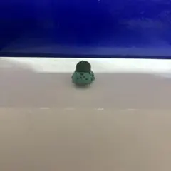ポケモン立体図鑑　へんしんメタモン　フシギダネ