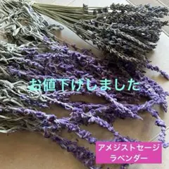富良野 イングリッシュ系 ラベンダー 摘みたて100本 切花 - メルカリ