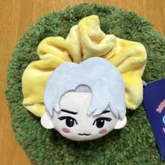 2025年最新】テヨン ぬいぐるみ nctの人気アイテム - メルカリ