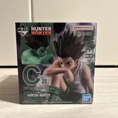 一番くじハンター×ハンターキメラアント②C賞ゴンMASTERLISE