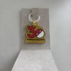ポケモン ポケチャーム 30周年 ロゴマスコット ビリリダマ