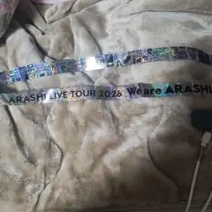 大幅お値下げ美品！嵐We are ARASHI3/13札幌⭐︎銀テ＋おまけ紙吹雪