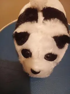 Item thumbnail for item f5a1baf1-8773-44eb-b8e5-3cbc84e4f993