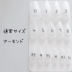 試着用ネイルチップ(アーモンド)