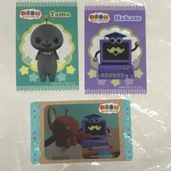 教育番組　タマ