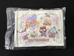 キャラクターズはぴだんぶい当りくじ／34・クッション：アイボリー&ミントブルー